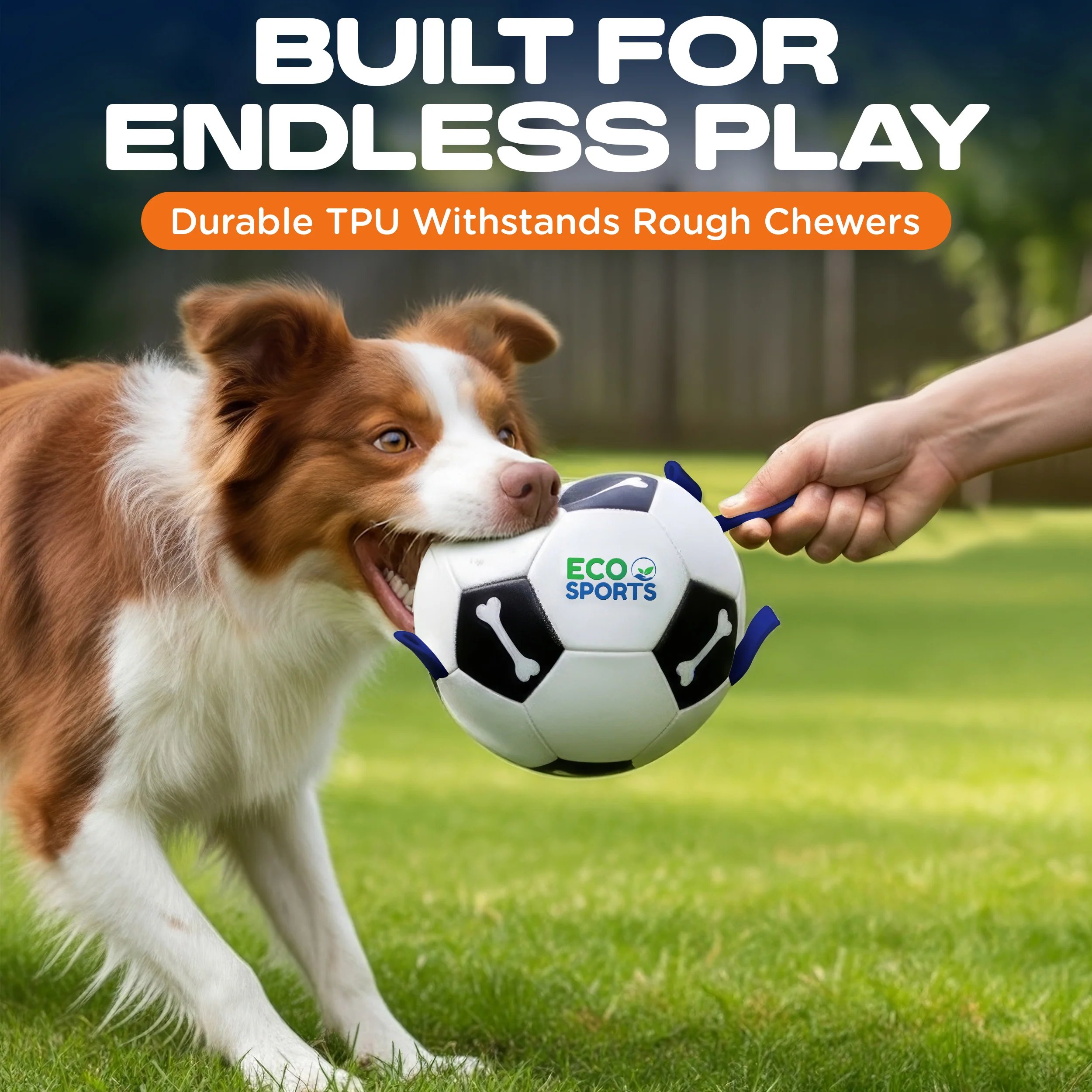 Dog Soccer Balls with Cotton Tags - Image 10